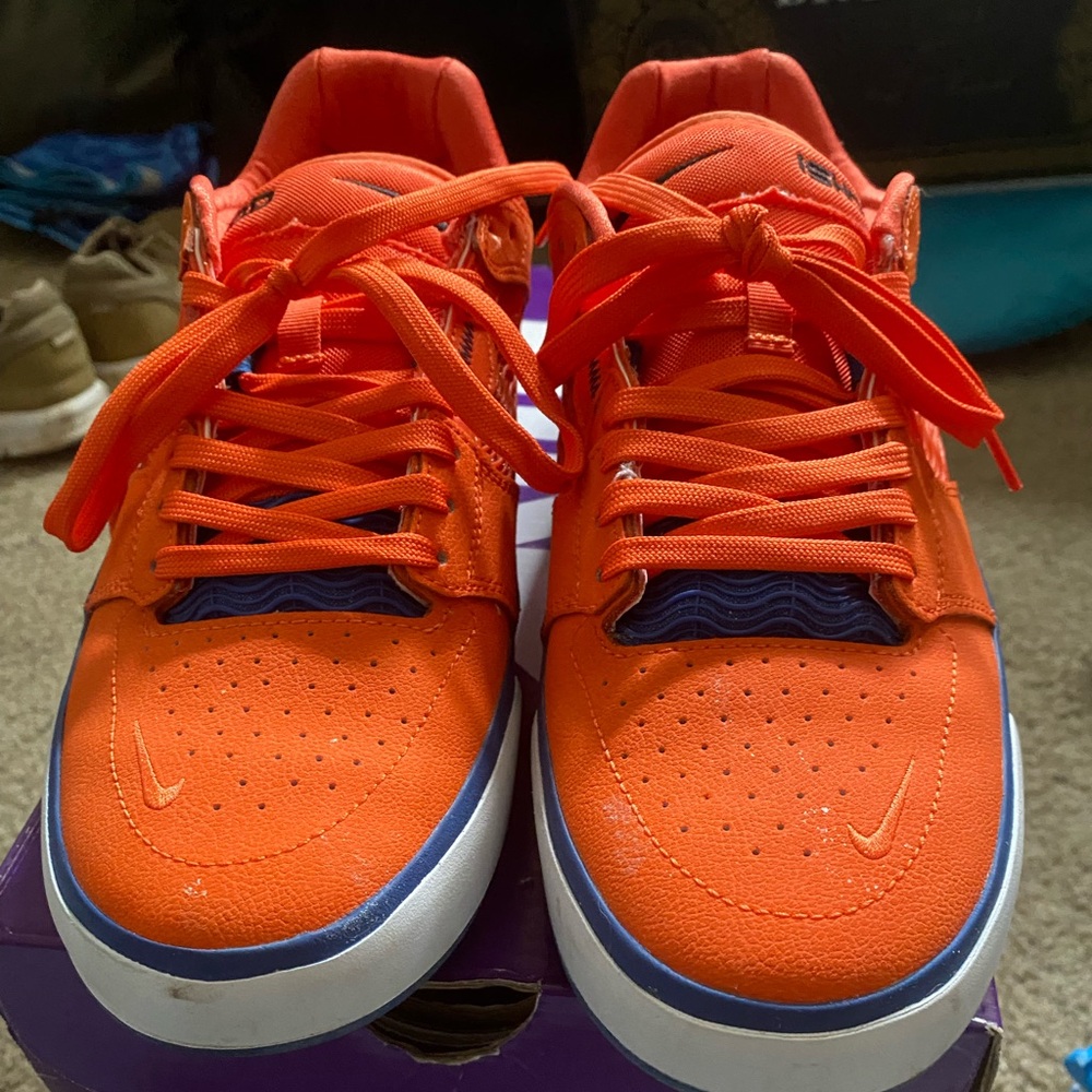 Nike sb ishod orange 10
